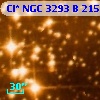 Cl* NGC 3293      B     215