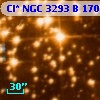 Cl* NGC 3293      B     170