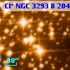 Cl* NGC 3293      B     204