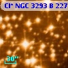 Cl* NGC 3293      B     227