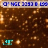 Cl* NGC 3293      B     199