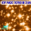 Cl* NGC 3293      B     218