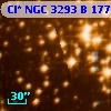 Cl* NGC 3293      B     177