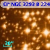 Cl* NGC 3293      B     224