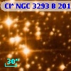 Cl* NGC 3293      B     201