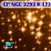 Cl* NGC 3293      B     173