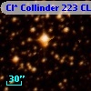 Cl* Collinder  223     CL      13