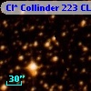 Cl* Collinder  223     CL      11