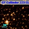 Cl* Collinder  223     CL      12
