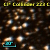 Cl* Collinder  223     CL      16