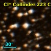Cl* Collinder  223     CL      17