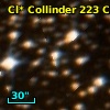 Cl* Collinder  223     CL      19