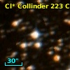 Cl* Collinder  223     CL      21
