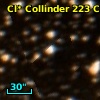 Cl* Collinder  223     CL      47