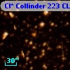 Cl* Collinder  223     CL      55