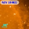 NSV 18461