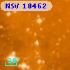 NSV 18462