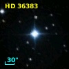 HD  36383