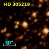 HD 305219
