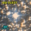 HD  91837