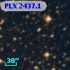 PLX 2437.1