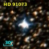 HD  91073