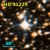 HD  91229