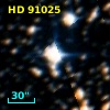 HD  91025