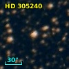 HD 305240