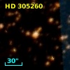 HD 305260