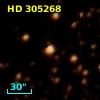 HD 305268