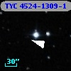 TYC 4524-1309-1
