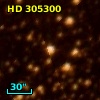 HD 305300