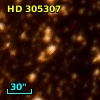 HD 305307