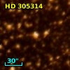 HD 305314