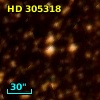 HD 305318