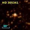 HD 305341