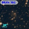 BRAN 301