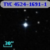 TYC 4524-1691-1