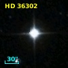 HD  36302