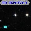 TYC 4524-529-1