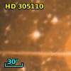 HD 305110