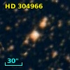 HD 304966