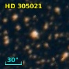 HD 305021