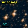 HD 305036