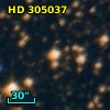 HD 305037