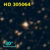 HD 305064