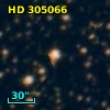 HD 305066