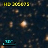 HD 305075