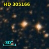 HD 305166